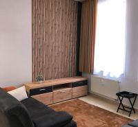 Wohnzimmer in einer 2-Zimmer-Wohnung mit Holzboden und schwarzem Sofa.