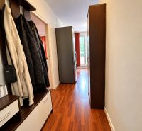 Flur in einer Einzimmerwohnung mit Holzdekorboden und einem Schrank.
