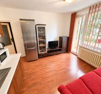 Wohnbereich einer Einzimmerwohnung mit Holzboden und Zugang zum Balkon.
