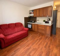 Küche in einer Einzimmerwohnung mit rotem Sofa und Holzboden.