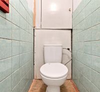 Toilette mit grünen Fliesen in einer 2-Zimmer-Wohnung und einem Boden in Holzoptik.