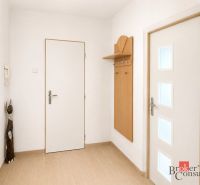 Diele in einer 3-Zimmer-Wohnung mit einer Garderobenwand und einem Boden mit Holzdekor.