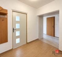 Flur einer 3-Zimmer-Wohnung mit Garderobe und Boden in Holzoptik.
