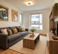 Wohnzimmer in einer 2-Zimmer-Wohnung mit grauem Sofa, Holzboden und Dekorationen.