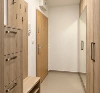 Flur in einer 2-Zimmer-Wohnung mit Einbauschränken und Garderobe in hellem Holzdekor.