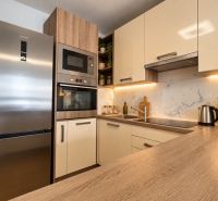 Küche in einer 2-Zimmer-Wohnung mit Küchenzeile und Geräten aus Edelstahl, Boden mit Holzdekor.