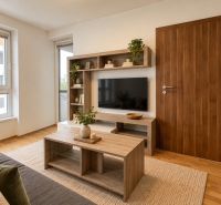 Wohnzimmer in einer 2-Zimmer-Wohnung mit Holzboden, Möbeln und Fernseher.