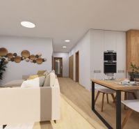 Wohnzimmer mit Küche in einem Einfamilienhaus. Boden mit Holzdekor, dekorative Elemente.
