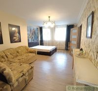Innenraum eines Einfamilienhauses mit Sofa, Bett und Holzboden.