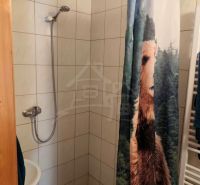 Eine Duschkabine in einer Hütte mit einem originellen Vorhang, der einen Bären darstellt.