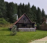 Eine Hütte in Rajecká Lesná, umgeben von Wäldern und einer grünen Wiese.
