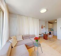 Wohnzimmer in einer 2-Zimmer-Wohnung mit einem Sofa und einem Boden in Holzoptik.