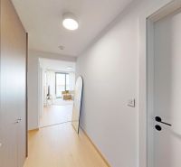 Der Flur in einer 2-Zimmer-Wohnung mit Holzboden und Einbauschränken.