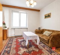 Wohnzimmer in einer Zweizimmerwohnung mit Teppich und Sofa, Boden mit Holzdekor.