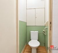 Toilette in einer 2-Zimmer-Wohnung mit Holzboden und grünen Wänden.