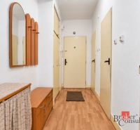 Flur in einer 2-Zimmer-Wohnung mit Holzboden, Spiegel und Garderobenwand.