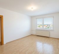 Ein Zimmer in einer 3-Zimmer-Wohnung mit einem großen Fenster und einem Boden in Holzoptik.
