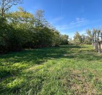 Gärten in Kopčany mit weitläufigem Rasen, umgeben von Bäumen unter blauem Himmel.