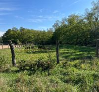 Das Grün der Gärten in Kopčany unter blauem Himmel, umgeben von einem Holzzaun.