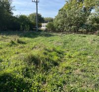Ein Strommast inmitten eines grünen Gartens in Kopčany, umgeben von üppiger Vegetation.