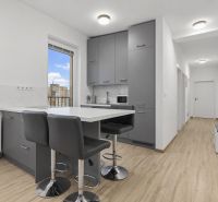 Küche in einer 2-Zimmer-Wohnung mit Bar, grauen Schränken und einem Boden in Holzoptik.