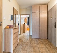 Eingangsbereich in einer 3-Zimmer-Wohnung, helle Holztüren und Boden mit Holzdekor.