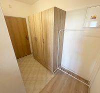 Der Flur des Einzimmerapartments mit einem Boden in Holzoptik und einem Kleiderschrank.