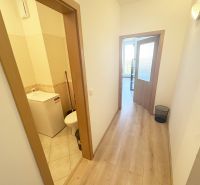 Der Flur des Einzimmerapartments mit einem Boden in Holzoptik und einem Eingang zum Badezimmer.
