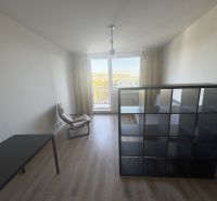 Einzimmerwohnung mit Holzboden, Trennregal, Sessel und Tisch.