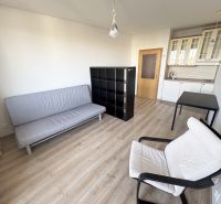 Einzimmerwohnung mit Sofa, Sessel und Küchenzeile auf einem Boden mit Holzdekor.