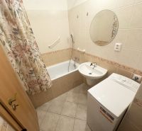 Badezimmer in einem Studio-Apartment mit Waschbecken, Badewanne und Waschmaschine.