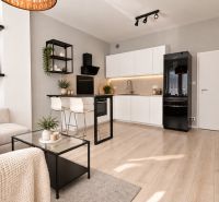 Eine stilvolle 2-Zimmer-Wohnung mit Holzboden und moderner Küche.