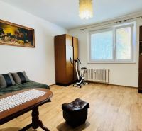 Ein Zimmer in einer 3-Zimmer-Wohnung mit einem Holzboden, Vintage-Möbeln und einem Bild an der Wand.