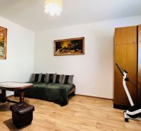 Ein Zimmer in einer 3-Zimmer-Wohnung mit einem Sofa, einem Tisch und einem Boden in Holzoptik.