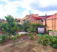 Einfamilienhaus in der M. R. Štefánika-Straße in Holíč mit einem gepflegten Garten voller Gemüse.