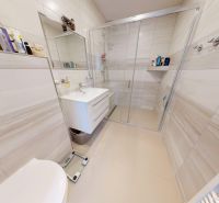 Badezimmer in einem Einfamilienhaus mit einer verglasten Duschkabine und einem modernen Waschbecken auf einem Schrank.