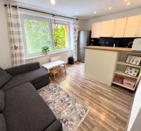 Helles Wohnzimmer in einer Einzimmerwohnung mit Holzboden und Kochnische.