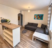 Wohnzimmer in einer Einzimmerwohnung mit Holzboden und einem bequemen Sofa.