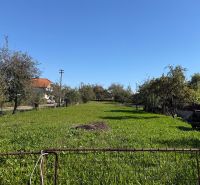 Grünflächen und Bäume auf Wohnbaugrundstücken in Kovarce unter blauem Himmel.
