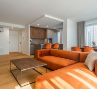 Wohnzimmer mit orangefarbenem Sofa, Küche und Holzboden im Wohnungsbauprojekt.