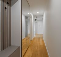 Flur mit Holzboden und Spiegelschrank, Wohnungsbau.
