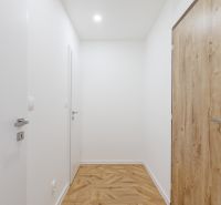 Flur mit Türen und Boden in Holzoptik, 2-Zimmer-Wohnung.