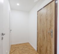 Eingangsflur einer 2-Zimmer-Wohnung mit Holzboden und Holztüren.
