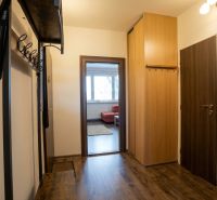 Eingangsflur einer 2-Zimmer-Wohnung mit Garderobe, Schrank und Bodenbelag in Holzoptik.