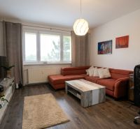 Ein helles Wohnzimmer mit einem orangefarbenen Sofa und einem Boden in Holzoptik in einer Zweizimmerwohnung.