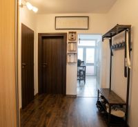 Flur mit Kleiderschrank und Holzboden in einer 2-Zimmer-Wohnung.