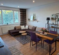Wohnzimmer mit Holzboden, Sofa und Esstisch in einer Einzimmerwohnung.