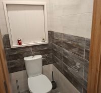 Badezimmer in einer Einzimmerwohnung mit Toilette, gefliest in dunkleren Tönen.