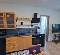 Küche in einer Einzimmerwohnung mit Holzschränken und einem Boden in Holzoptik.