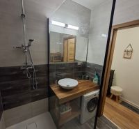 Badezimmer mit Waschbecken, Duschkabine und Waschmaschine in einer Einzimmerwohnung, Boden mit Holzdekor.